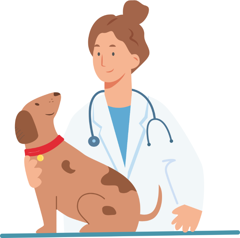 Ilustração de uma veterinária atendendo um cão