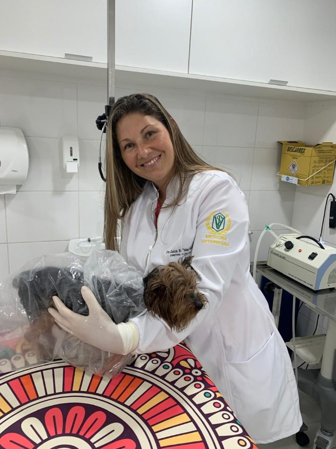 Dra. Laiza Cassia segurando um yorkshire durante o atendimento